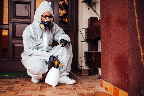 Reliable Fumigation Services contractor in Lake Isabella, MI by Nex Pest Control