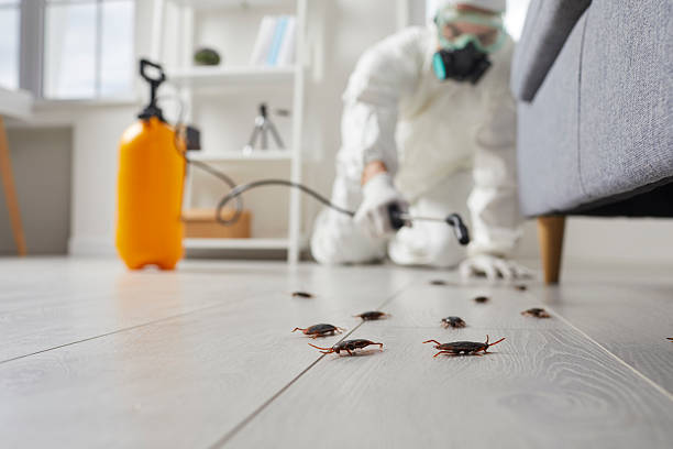 Trusted Rodent Control service in Lake Isabella, MI - Nex Pest Control